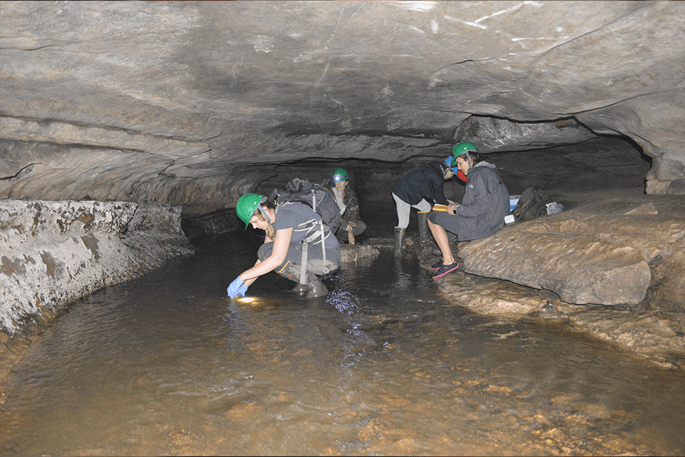 Saint ֱοƵ University researchers gather samples in Cliff Cave to test for microplastics